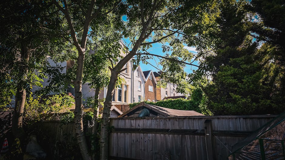 A view of a residential backyard enclosed by a weathered wooden fence, with several mature trees casting shadows over the area. In the background, multi-storey houses with neutral-colored exteriors an